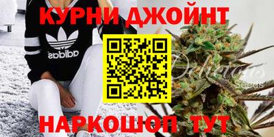 спайс Будённовск
