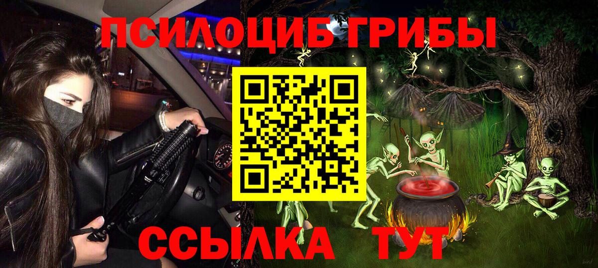 Псилоцибиновые грибы Psilocybine cubensis Заречный