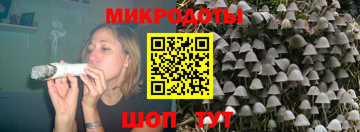 Заречный  Псилоцибиновые грибы ЛСД  где продают   Псилоцибиновые грибы Magic Shrooms  Вход с VPN 